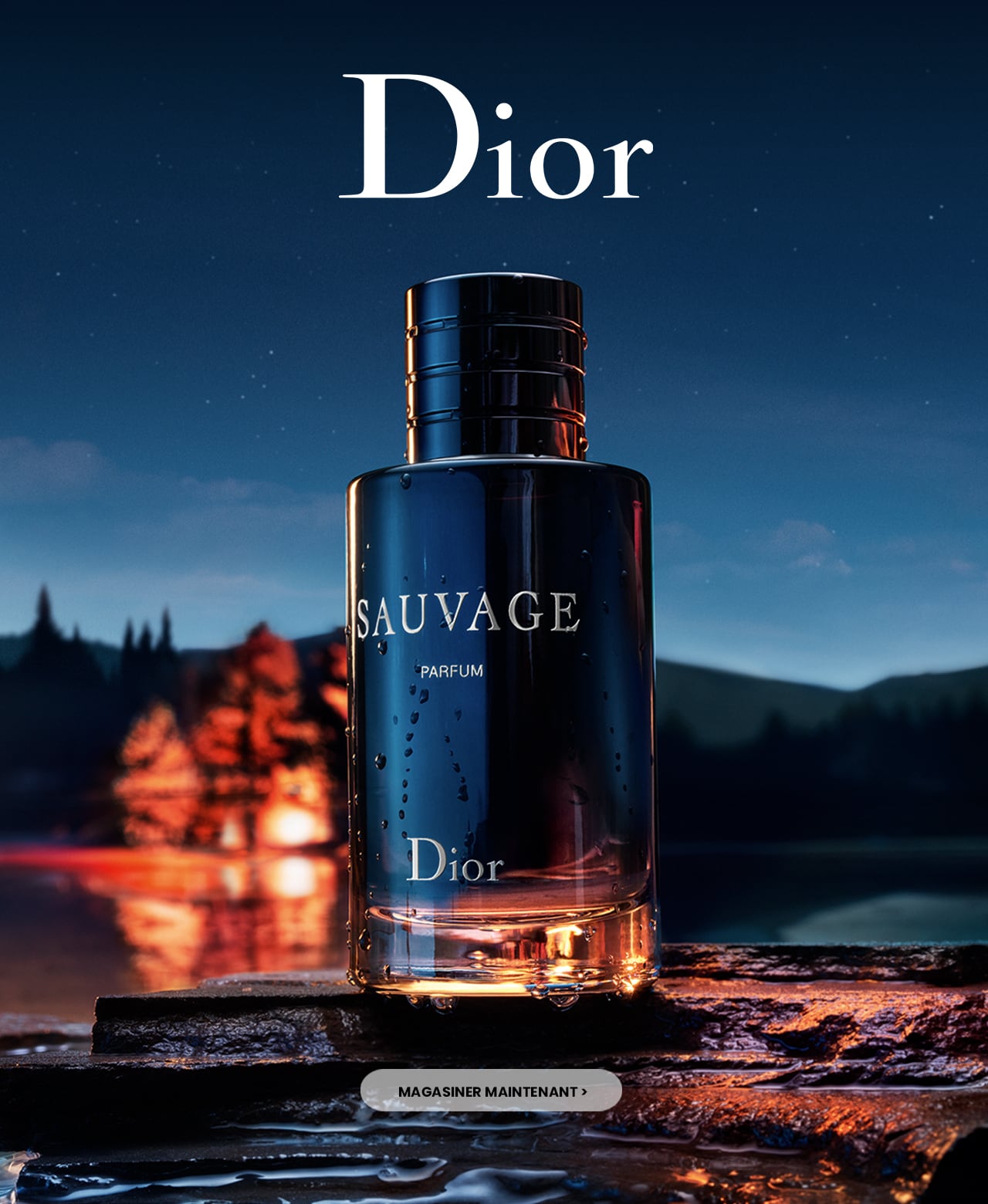 sauvage dior galerie de beaute